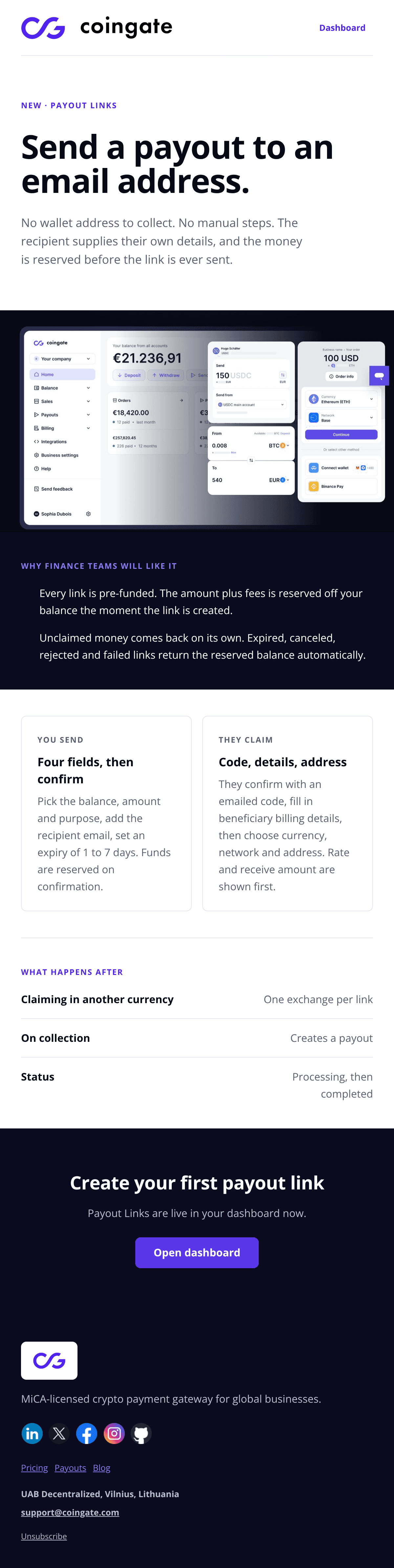 Payout Links Launch 이메일 디자인