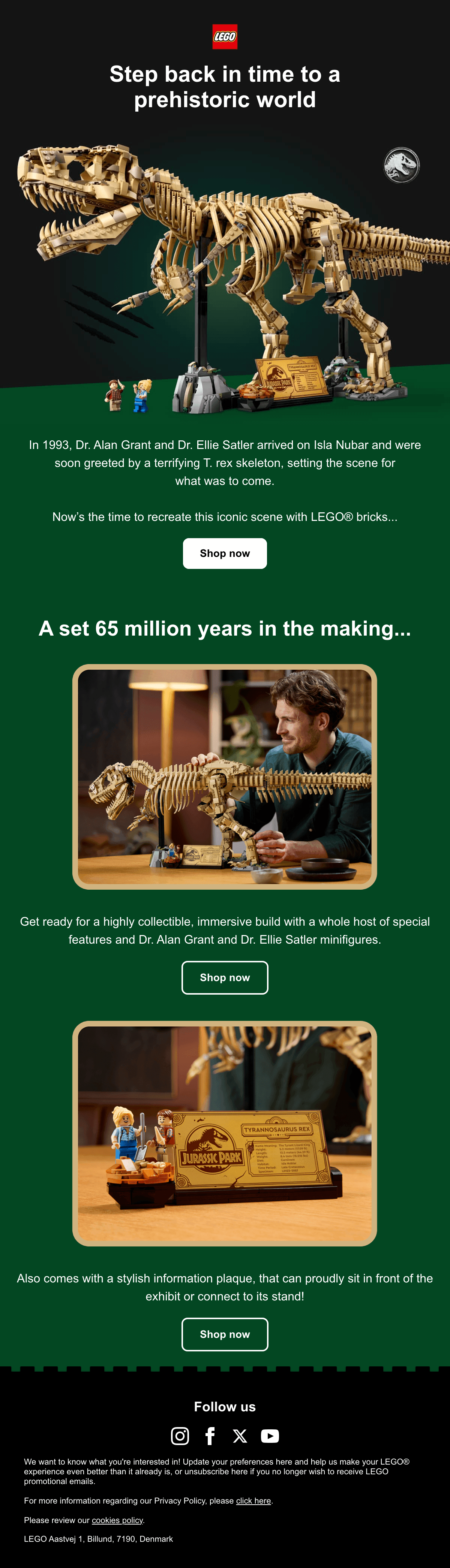 Diseño del email “Step Back to a Prehistoric World”