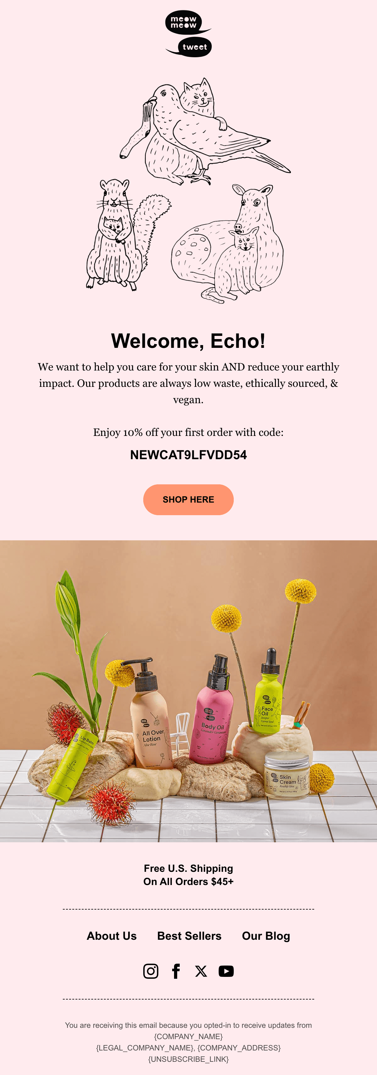 Diseño del email “Welcome to the Family”