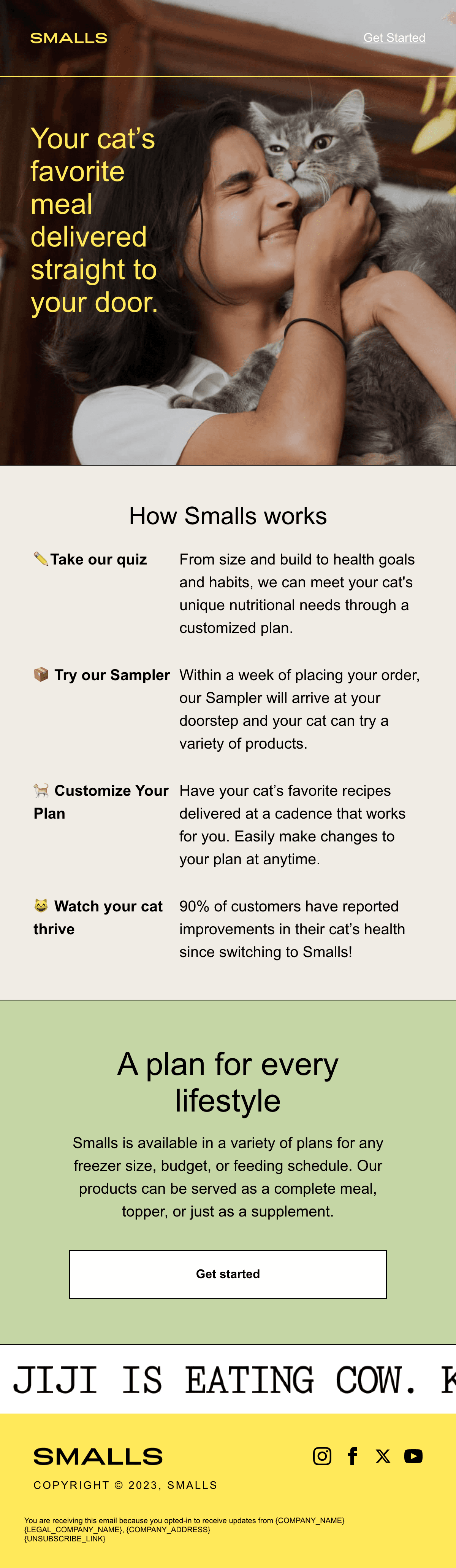 Your Cat's Favorite Meal, Delivered email design