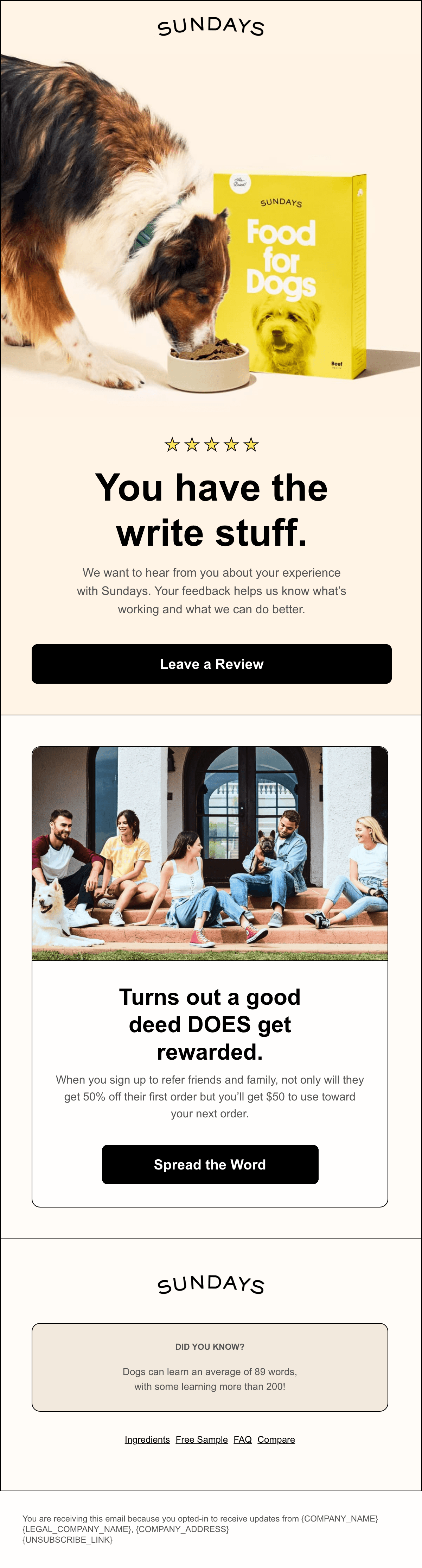 How's Sundays Working for You? email design