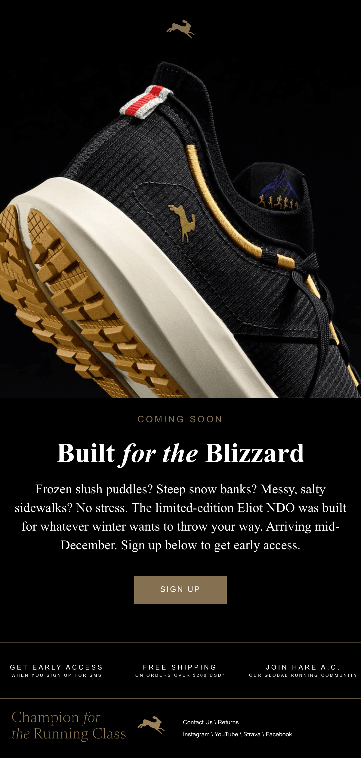 Built for the Blizzard — Eliot NDO 이메일 디자인